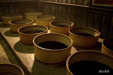 808 Aged Taiwan Tea | Shop YoshanTea