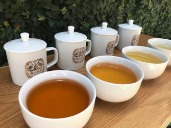Tea Tasting Experience | Shop YoshanTea